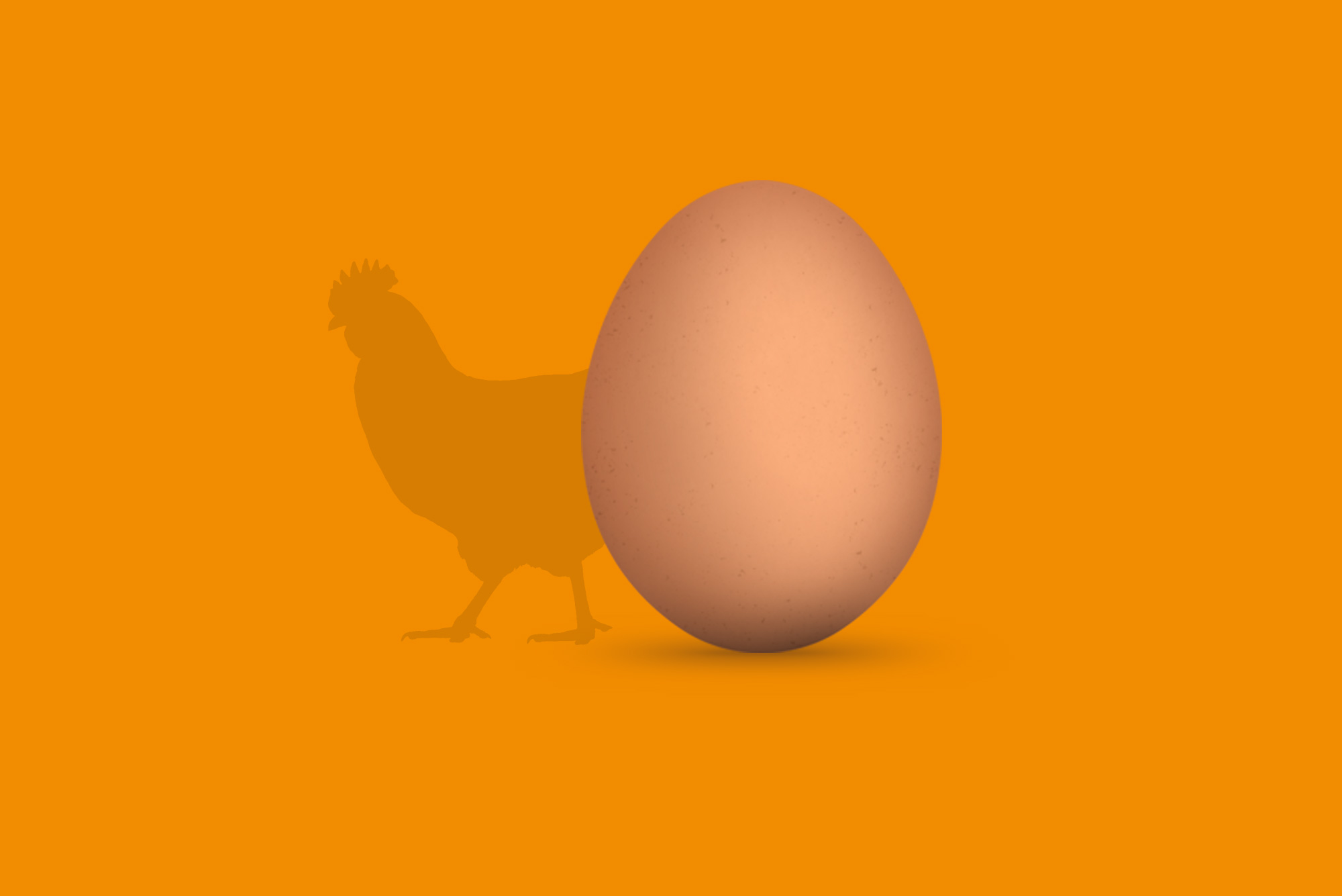 Egg and chicken on orange background - Content and design considerations